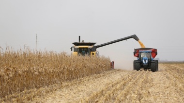 El sector agroexportador liquidó US$ 1.880 millones en marzo