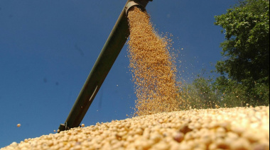 Con un crecimiento del 32% en 2025, el agro argentino consolida un sólido desempeño exportador