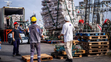 Exportaciones pesqueras: El calamar no logra compensar la caída del langostino.