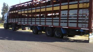 Con nueva normativa, el Senasa habilita el uso de bitrenes y simplifica la certificación para el transporte de animales