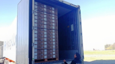La nuez pecán entrerriana consolida su rol en el mercado internacional con una nueva exportación a Europa
