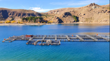 La acuicultura patagónica accede a mercados andinos para la exportación de ovas de trucha.