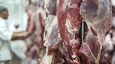 El arancel del 10% de EE.UU. golpea a las exportaciones de carne vacuna del Mercosur