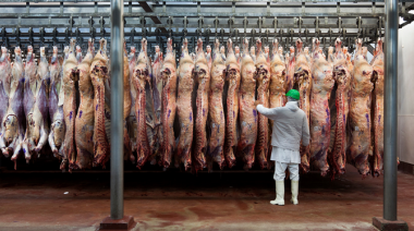 Evolución del precio de la carne bovina en enero de 2025: comportamiento, consumo y exportaciones