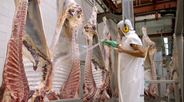 China extiende el plazo de investigación sobre importación de carne vacuna, generando alivio en el Mercosur
