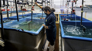 La FAO debate el futuro del comercio pesquero con foco en la sostenibilidad y la 'Transformación Azul'