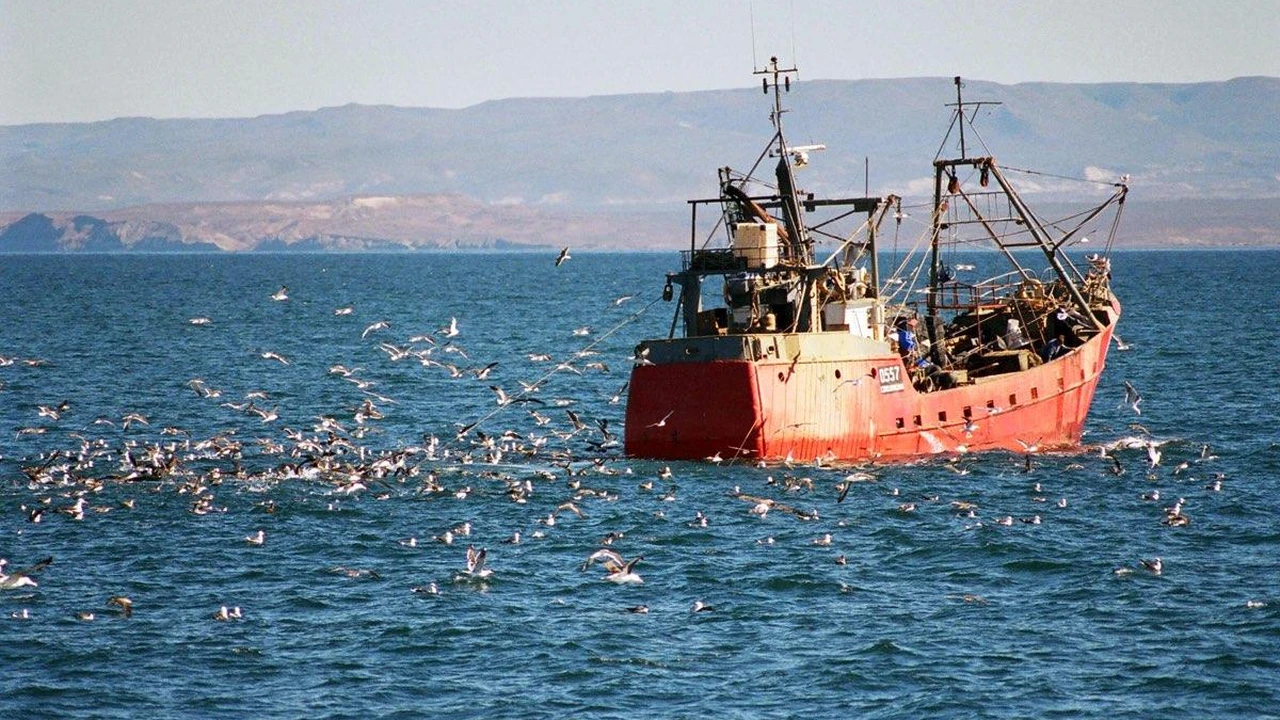 La OMC activa un pacto ambiental sin precedentes para prohibir los subsidios a la pesca perjudicial