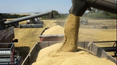 Viterra, Cargill y COFCO concentraron casi el 40% de las exportaciones agroindustriales