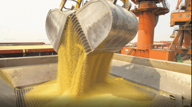 EE.UU.: Incertidumbre en la política de biocombustibles impacta en el mercado del aceite de soja