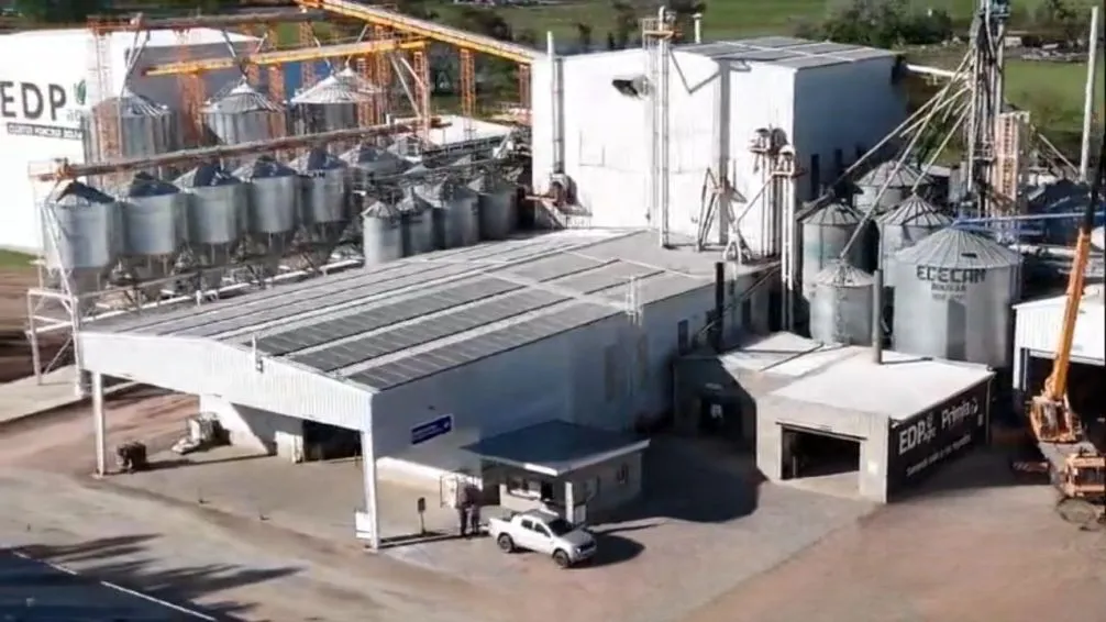La agroindustria porcina argentina se fortalece con una nueva planta de alimentos en San Carlos de Bolívar