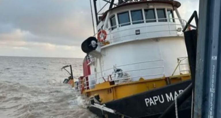 Emergencia en el Río de la Plata: rescatan una barcaza tras el hundimiento del remolcador Papu Mar