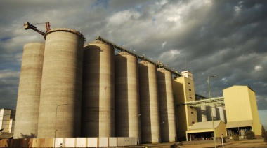 Quilmes impulsa una revolución: cebada bonaerense para conquistar al mundo