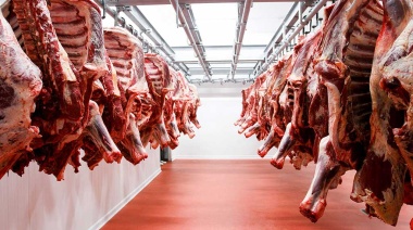 Argentina pierde terreno en el comercio regional de carne vacuna