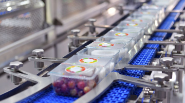 El Futuro de la Poscosecha: Integración de Biotecnología y Herramientas de Inteligencia Artificial en la Fruticultura Regional.