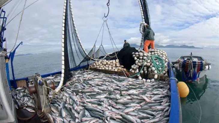 Cierran subáreas de pesca de langostino por exceso de merluza y anuncian nuevas prospecciones