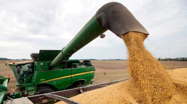 Las Bolsas de Cereales del país evalúan la eliminación temporal de los DEX