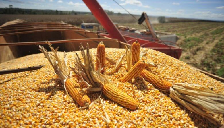 Las exportaciones perdieron u$s2.300 millones por la caída de los precios internacionales de los granos