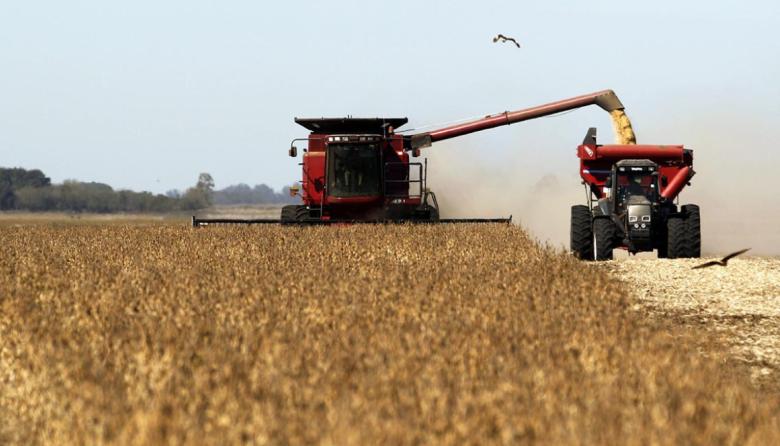 Se incrementaron las importaciones de soja durante septiembre