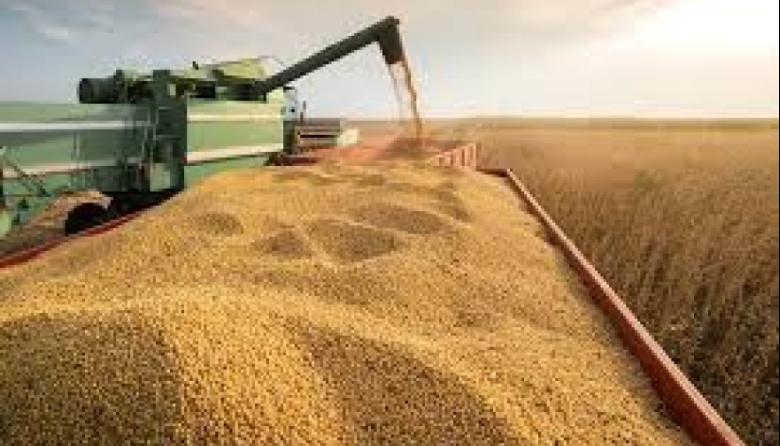 Guerra comercial: cómo los nuevos aranceles chinos impulsan las exportaciones de soja de Brasil y Argentina