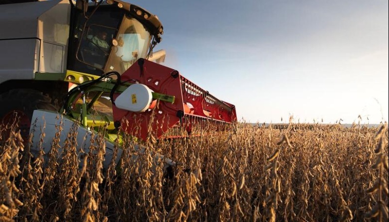 La Bolsa de Cereales se alía con yieldata para revolucionar sus estimaciones agrícolas