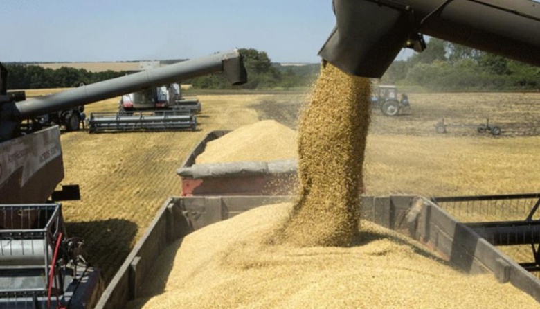 Viterra, Cargill y COFCO concentraron casi el 40% de las exportaciones agroindustriales