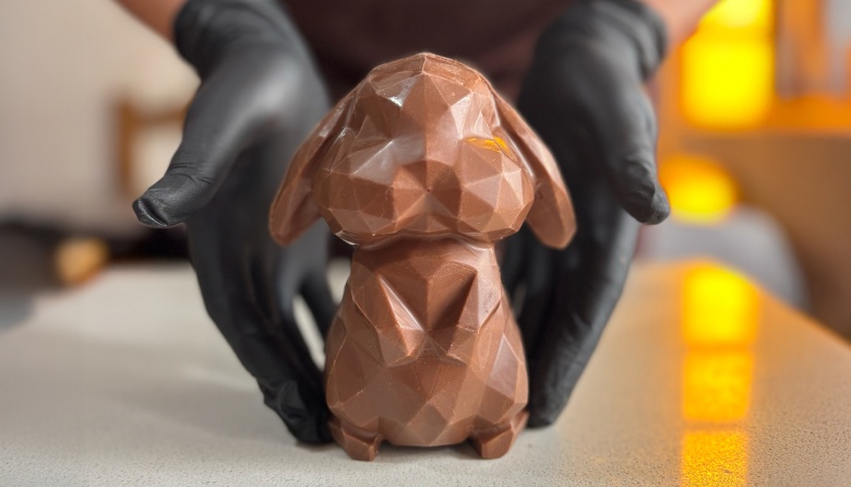 COCHOLATE: INNOVACIÓN, SABOR Y CREATIVIDAD EN CADA PIEZA