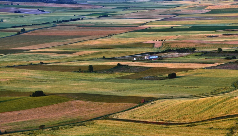 La balanza comercial agrícola muestra signos mixtos en abril 2025