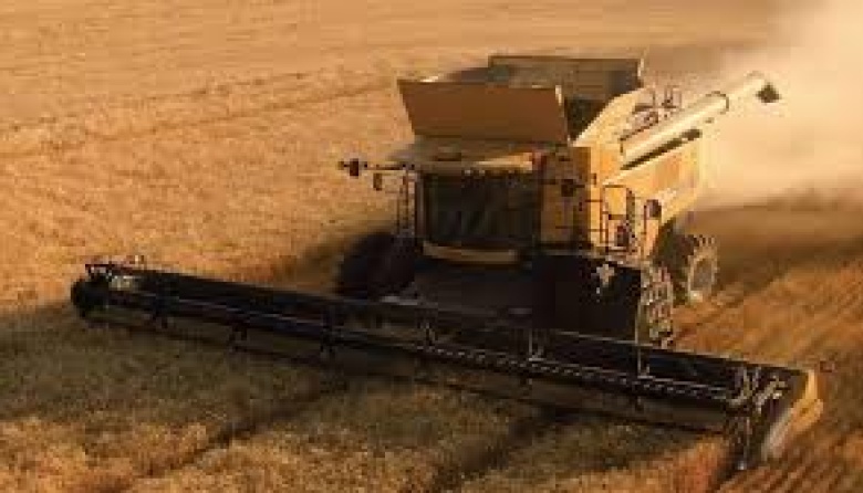 La agroindustria explicó el 92% de las divisas netas en Argentina en el último lustro