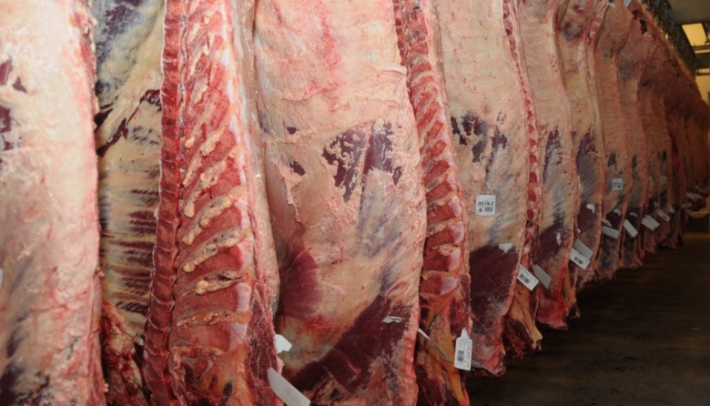 La faena vacuna experimentó una caída interanual del 5% en mayo, impactada por menor actividad