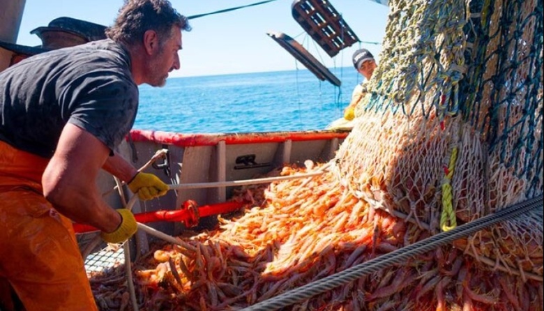 Suspendida la prospección de langostino en aguas nacionales hasta nuevo aviso por condiciones climáticas adversas