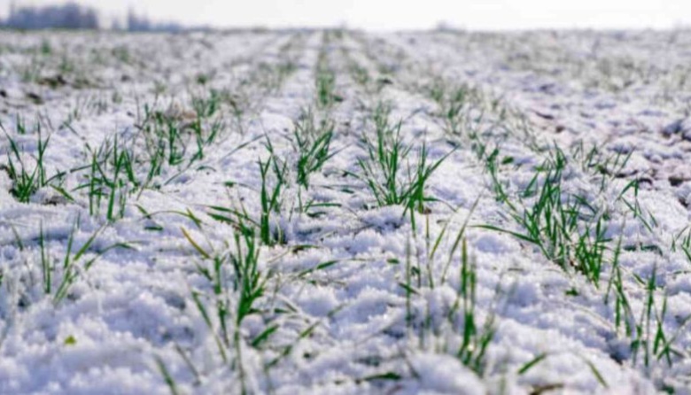 Nevadas y descenso hídrico marcan el final de junio en el sudoeste bonaerense