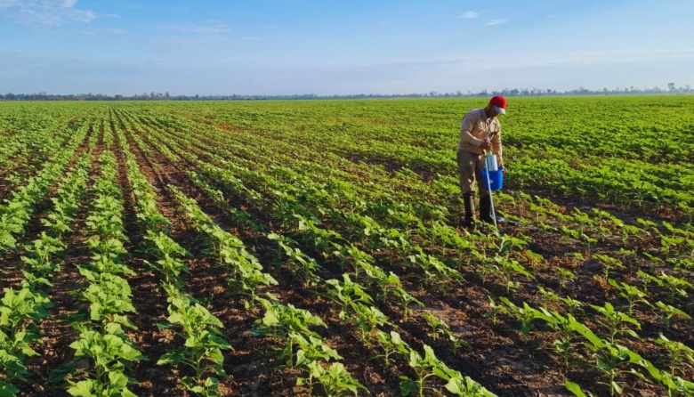 Agroindustria y ambiente: Argentina se posiciona globalmente con prácticas de producción sostenible