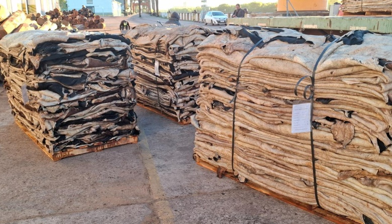 Hito en el Puerto de Barranqueras: Se consolida por primera vez en la historia la exportación de cuero salado con destino a China