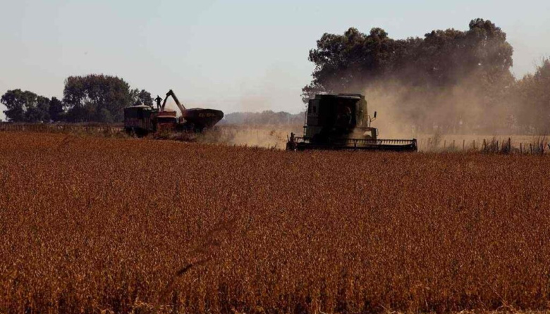 El agro argentino proyecta exportar más de US$ 10.100 millones en el último cuatrimestre de 2025