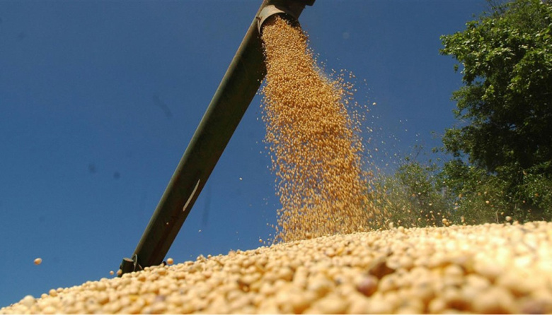 Con un crecimiento del 32% en 2025, el agro argentino consolida un sólido desempeño exportador
