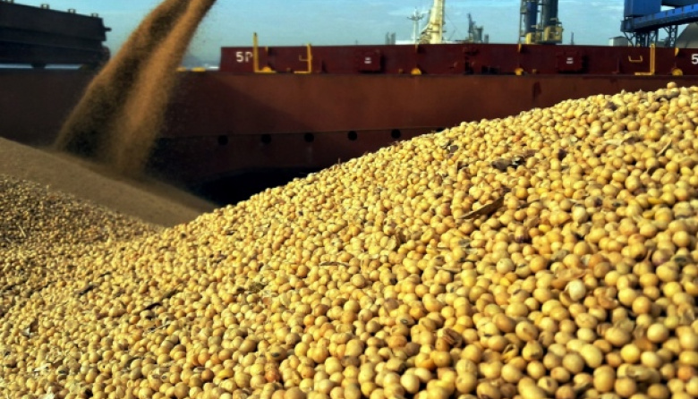Brasil modera sus embarques de soja y Argentina se afianza como exportador de valor agregado en la ECSA