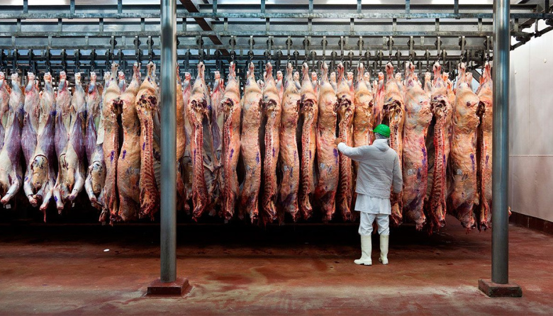 La carne de novillo y aviar volverán a pagar 5% de retenciones desde el 1 de noviembre.