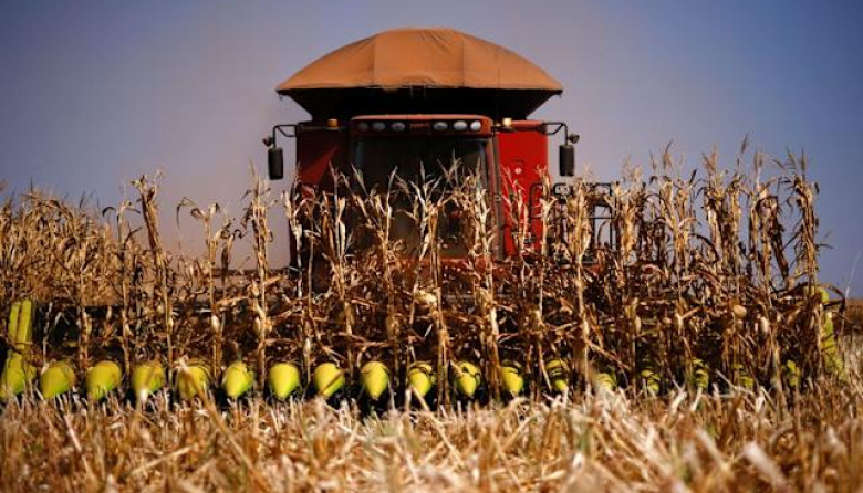 Acercamiento entre China y EE.UU. impulsa la soja en Chicago