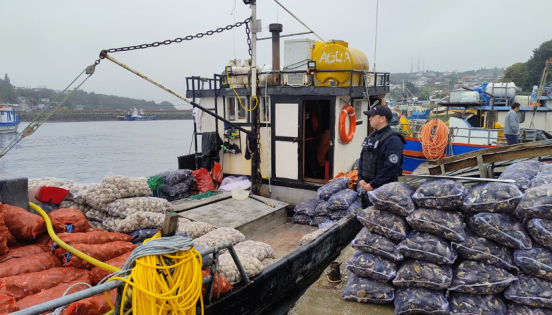 Chile: Policía Marítima incauta más de una tonelada de mariscos contaminados con marea roja en Calbuco