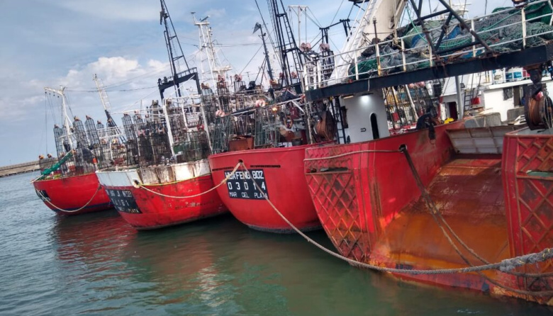 El CFP oficializó el esquema de apertura anticipada para la zafra de calamar 2026