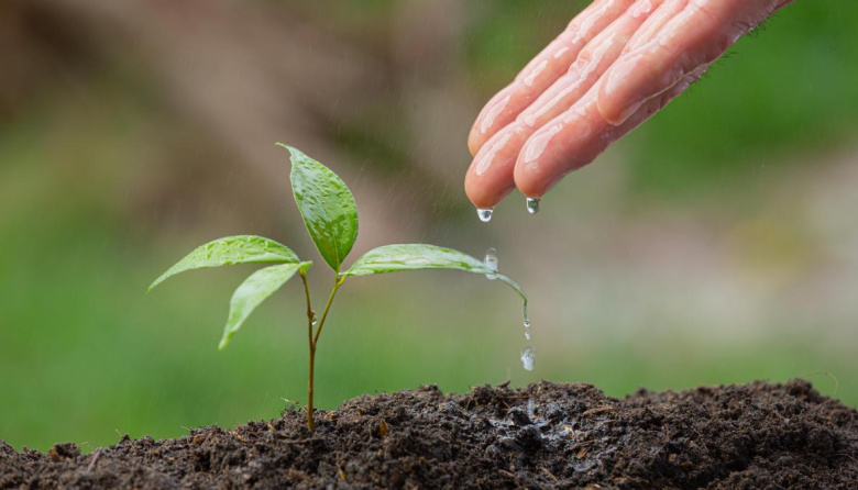 Día Mundial del Suelo: claves para la gestión sostenible y la salud ecosistémica