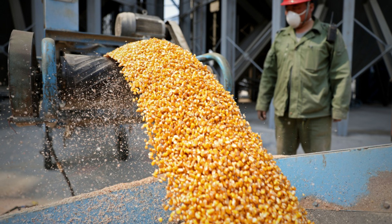China intensifica estrategias para reducir la dependencia del Maíz importado