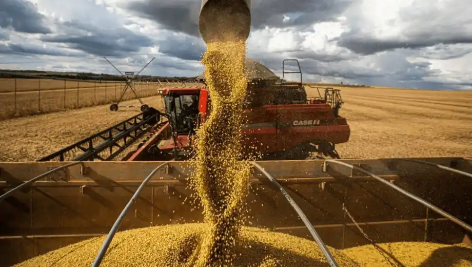 La agroindustria reacciona: CIARA-CEC valora reducción de retenciones