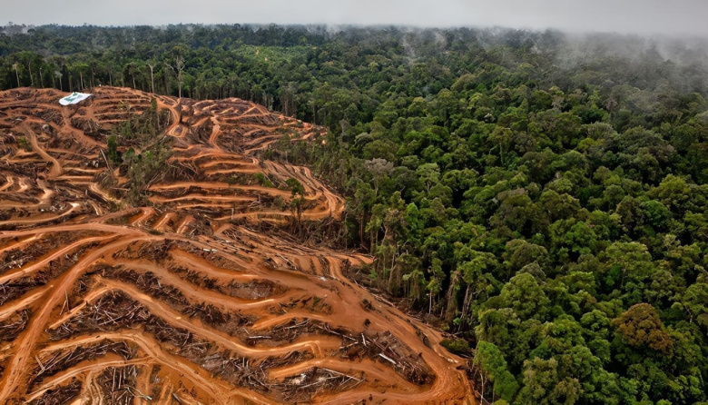 La UE aplaza su norma antideforestación y otorga un respiro al comercio exterior agroindustrial argentino