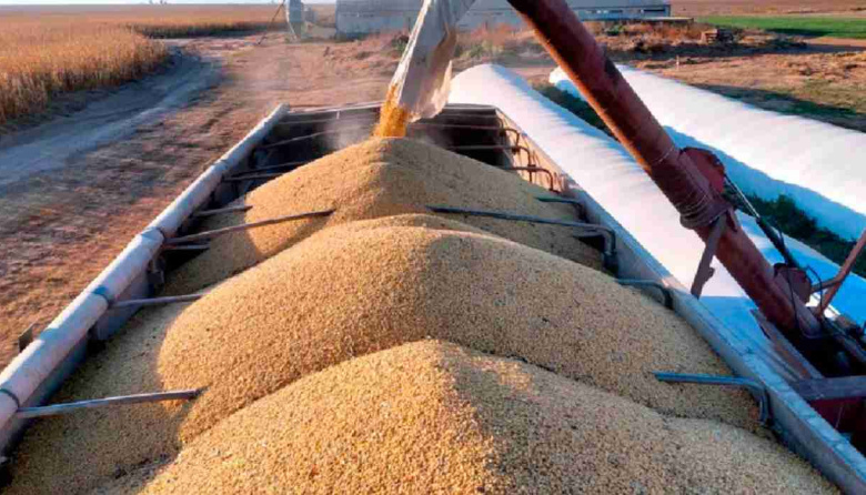 El nuevo régimen de inversiones traería U$S 15.000 millones al sector