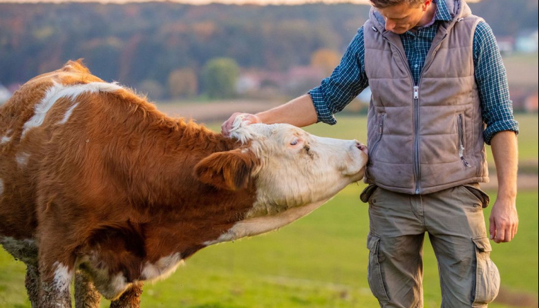 La certificación europea Welfair llega a Argentina para medir el bienestar animal en la producción