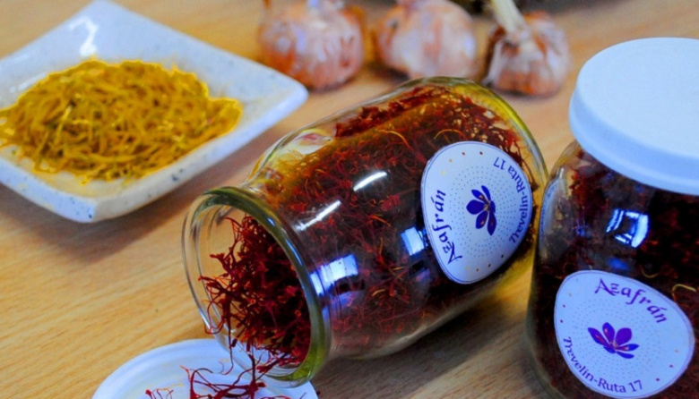 Chubut lidera el cultivo de azafrán más austral del mundo