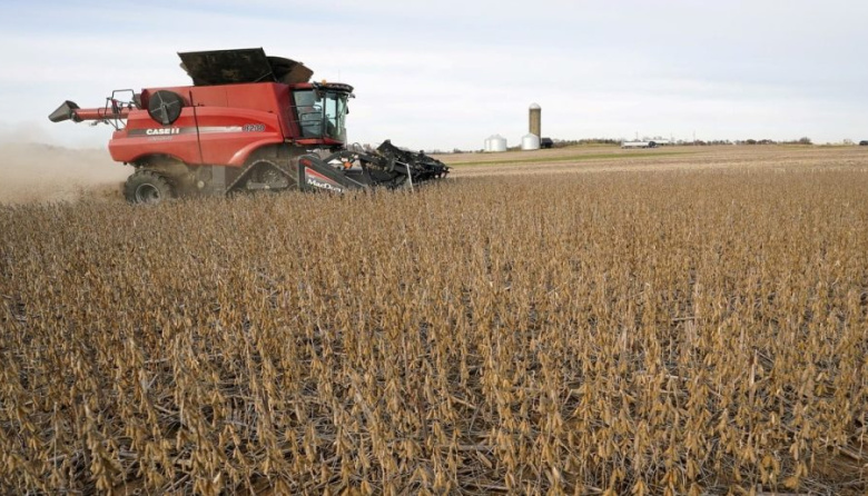 El pulso comercial de los commodities agrícolas: Argentina con 25% de la soja sin precio firme