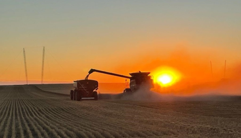 A pesar de las heladas, los rindes de trigo y cebada superan el promedio histórico en el inicio de la cosecha fina