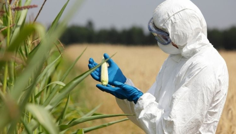 Argentina alcanza un récord histórico en la aprobación de OGM